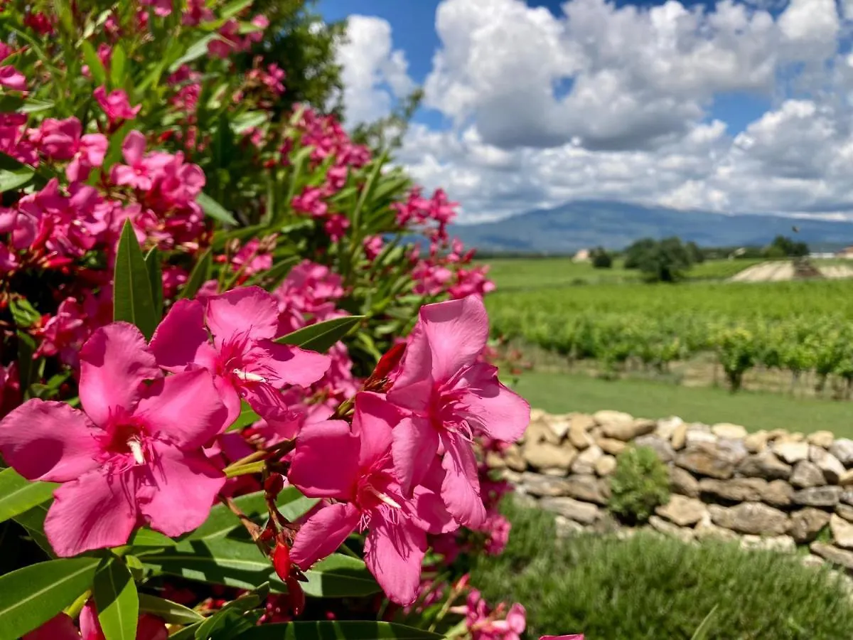 Auberge De Mazan Holiday home